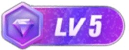 等级-LV5-电脑主题_系统美化_免费模版_网站优化尽在白菜美化网！白菜码美化