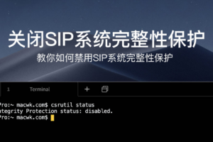 MAC电脑关闭SIP系统完整性保护怎么禁用？SIP系统完整性关闭方法-电脑主题_系统美化_免费模版_网站优化尽在白菜美化网！白菜码美化