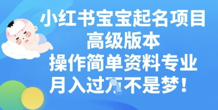 小红书宝宝起名项目高级版本，操作简单，资料专业，月入过W-白菜码