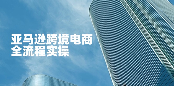 （14252期）亚马逊跨境电商全流程实操，教你从零开始，掌握店铺运营与广告技巧-白菜码