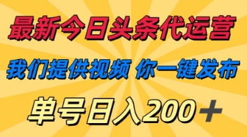 最新今日头条代运营，我们提供视频，你一键发布，单号日入200+【揭秘】-白菜码