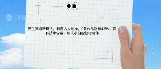 AI养生赛道新玩法，10条作品涨粉5.2W，操作简单，新人小白能轻松制作-白菜码