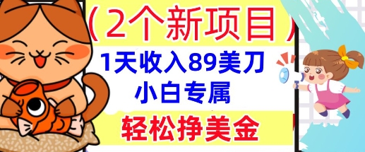 2个新项目，轻松挣美金， 1天收入89美刀，小白专属，干货分享-白菜码