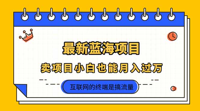 （14289期）2025年最新蓝海项目，卖项目小白也能月入过万-白菜码