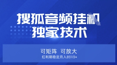 【搜狐音频挂G】独家技术，可矩阵可放大，红利期稳定月入8k【揭秘】-白菜码