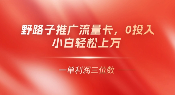 0门槛推广流量卡，一单收益上百，0投入，小白月入过W-白菜码