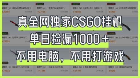真全网独家CSGO挂G，单日捡漏1k+【揭秘】-白菜码