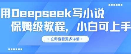 用Deepseek写小说，保姆级教程，小白可实操-白菜码
