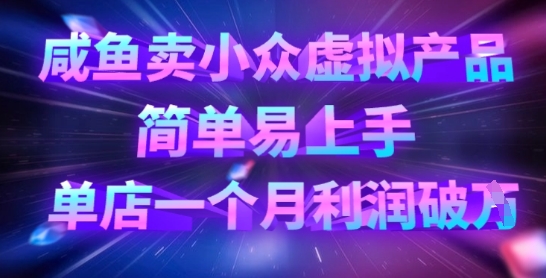 咸鱼卖小众虚拟产品，简单易上手，单店一个月利润破W-白菜码