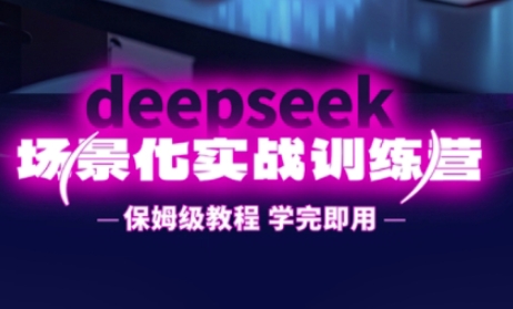 DeepSeek场景化实战训练营，保姆级教程，学完即用，手把手教你用DeepSeek提升效率-白菜码